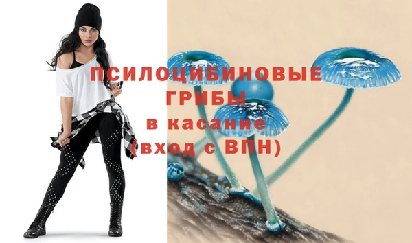 a pvp Алексин