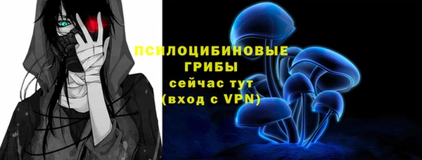 a pvp Алексин