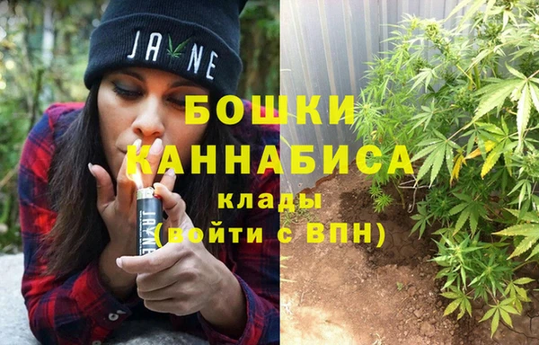 ГАЛЛЮЦИНОГЕННЫЕ ГРИБЫ Новодвинск