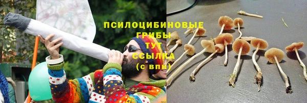 эйфоретик Нягань