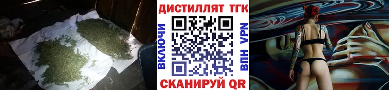 закладка  Наволоки  ТГК концентрат 